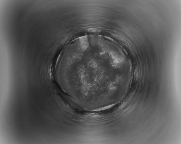 X0000095940424200802011045