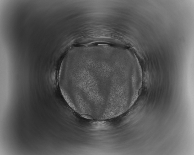 X0000095940428200802011045