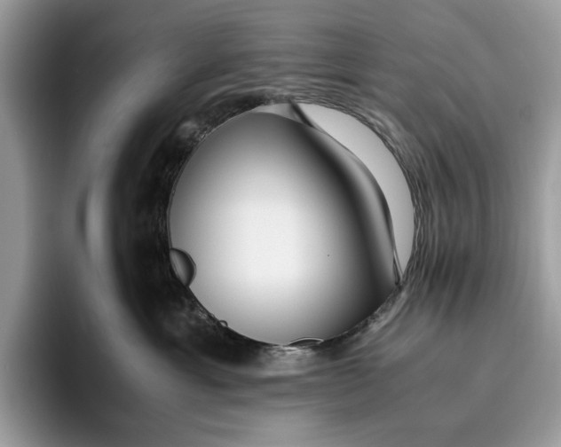 X0000095940429200802011045