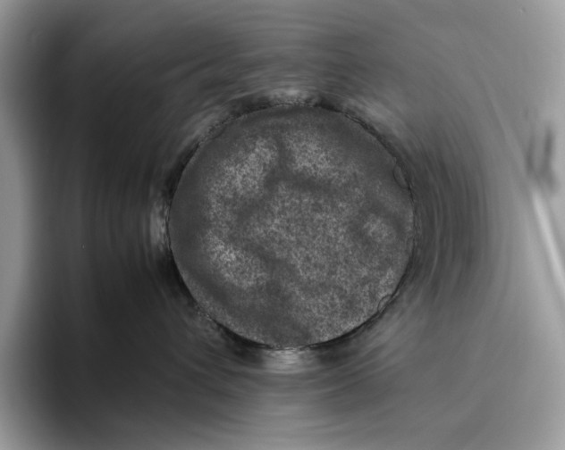 X0000095940432200802011045