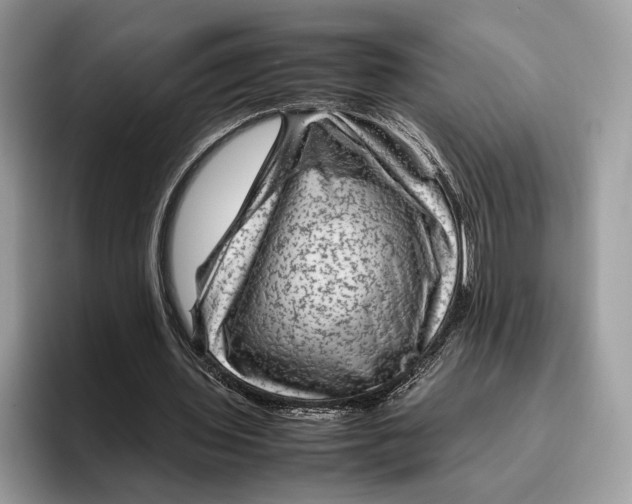 X0000095940435200802011044