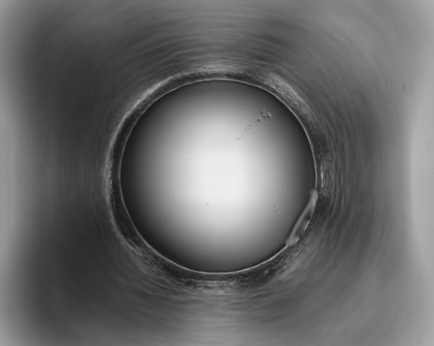 X0000095940436200802011044