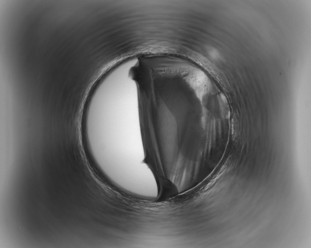 X0000095940438200802011045