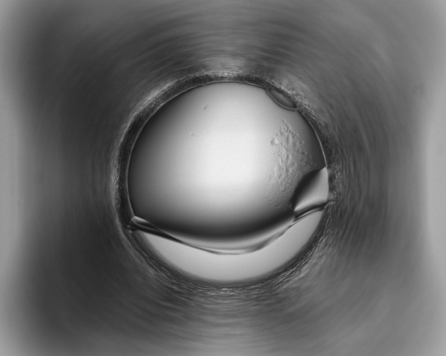 X0000095940440200802011045