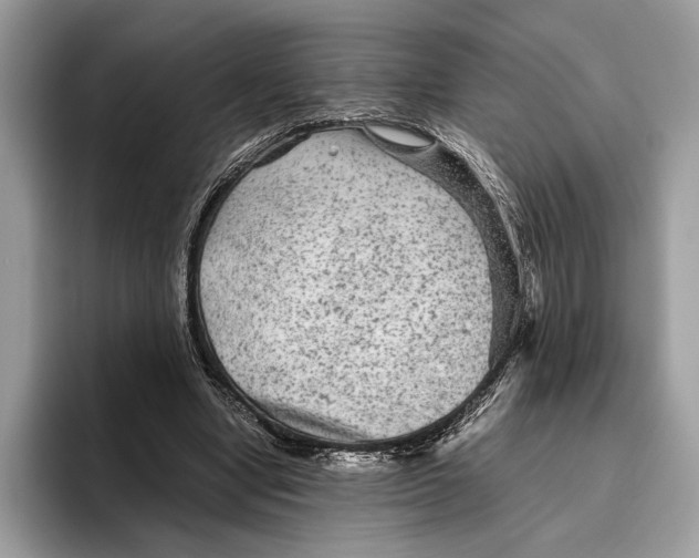 X0000095940442200802011045