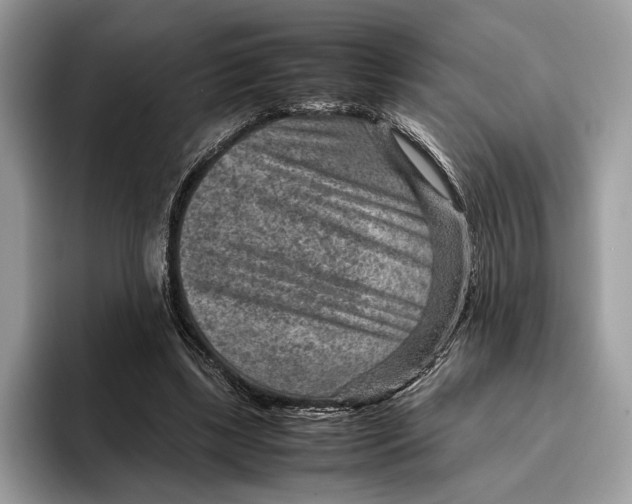 X0000095940443200802011045