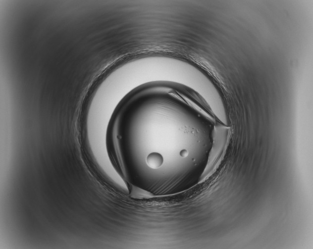 X0000095940444200802011045