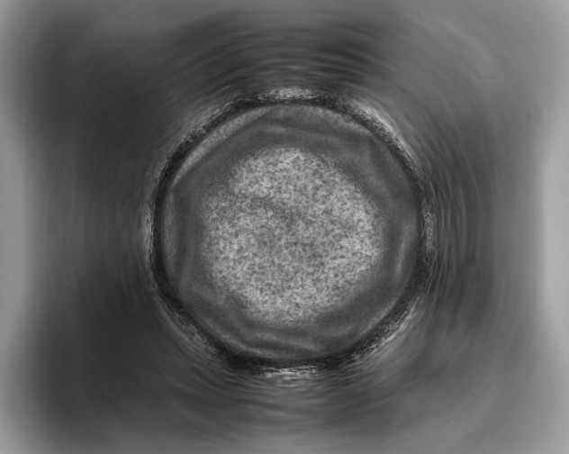 X0000095940447200802011045