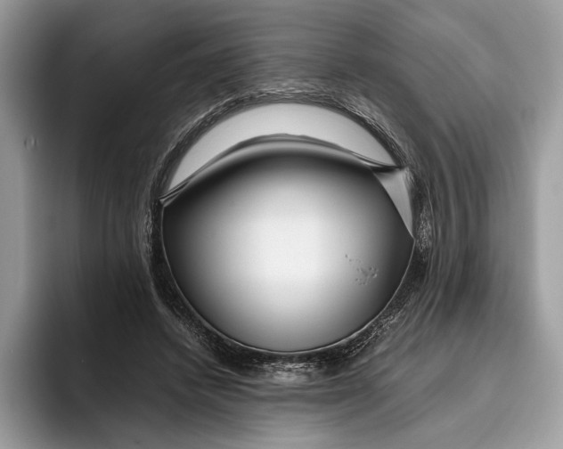 X0000095940448200802011045