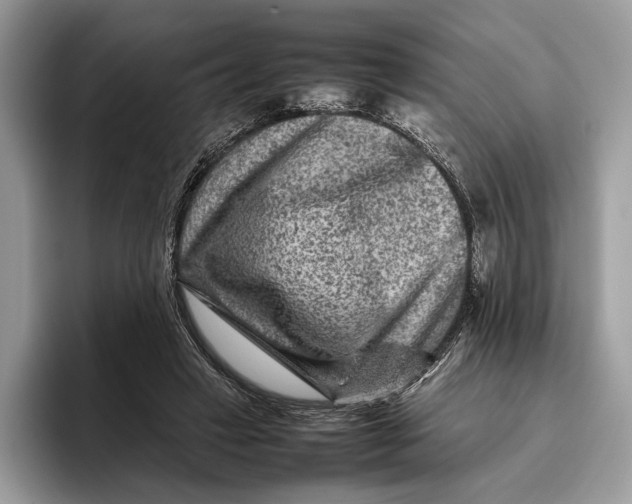 X0000095940449200802011045