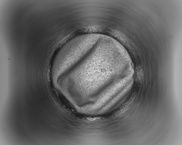 X0000095940450200802011045