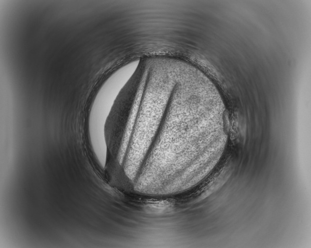 X0000095940454200802011045