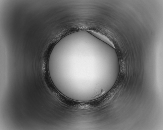 X0000095940456200802011045