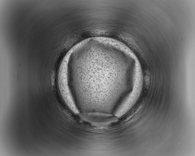 X0000095940458200802011045