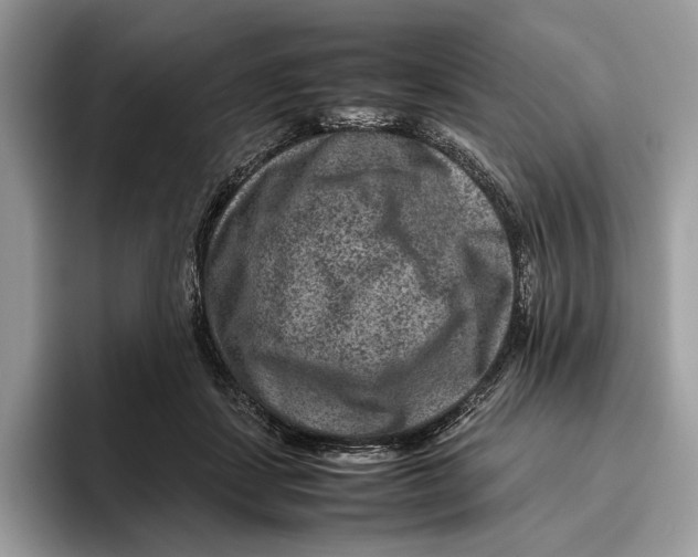 X0000095940459200802011045