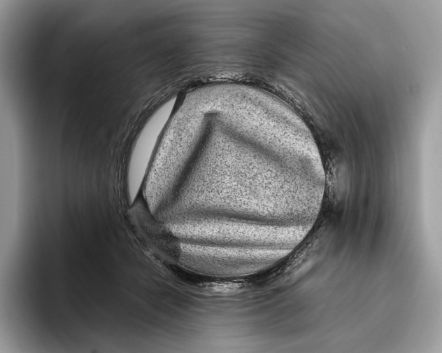 X0000095940462200802011045