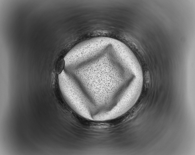 X0000095940463200802011045