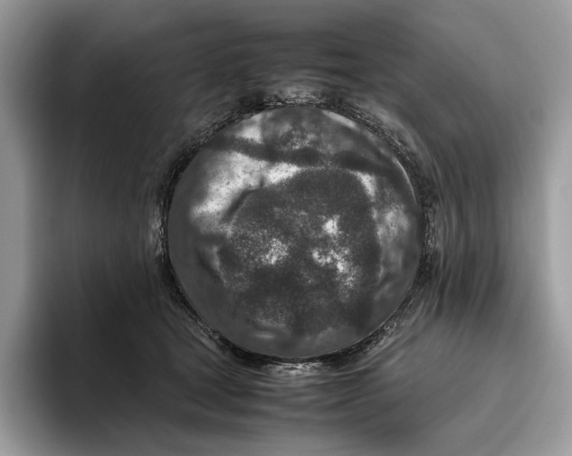 X0000095940465200802011045