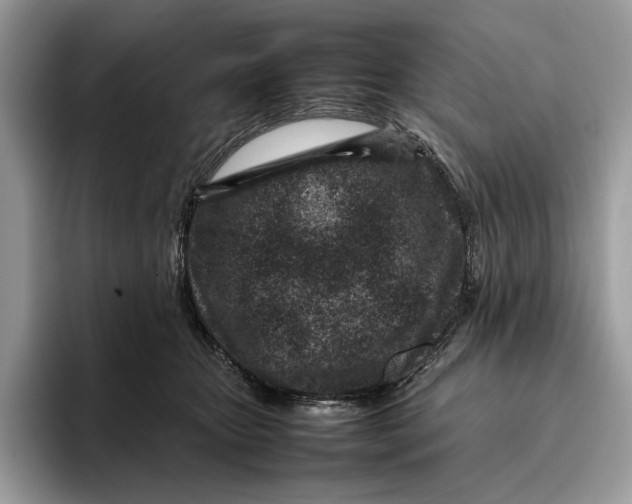 X0000095940467200802011045