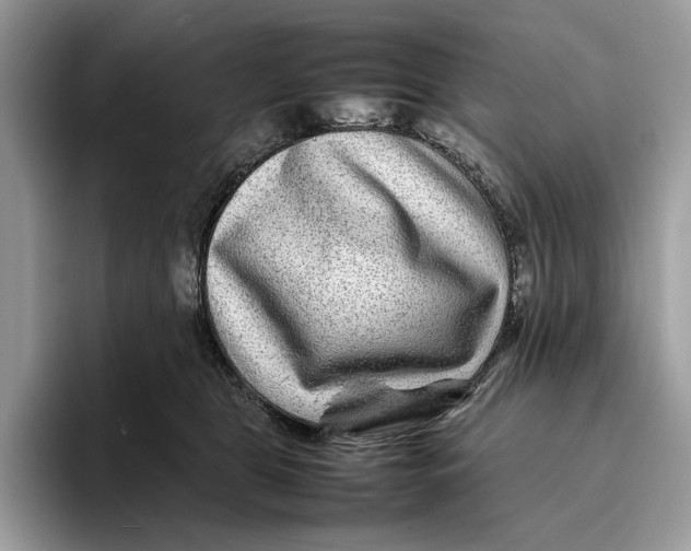 X0000095940469200802011045