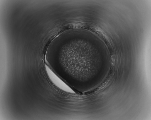 X0000095940471200802011045