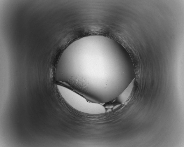 X0000095940472200802011045