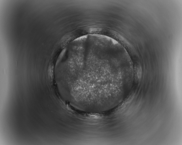 X0000095940475200802011045