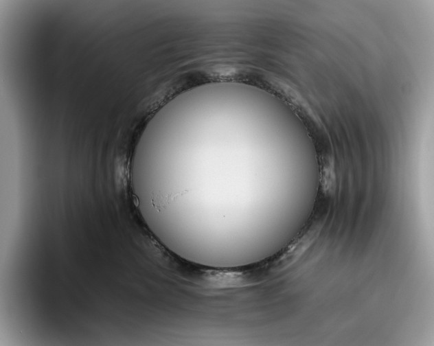 X0000095940476200802011045