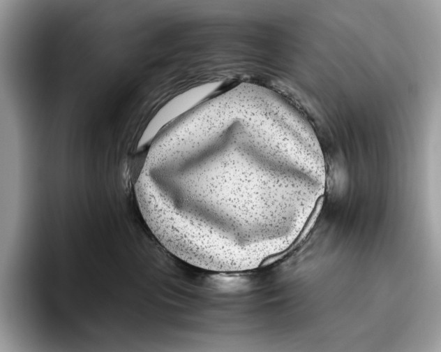 X0000095940477200802011045