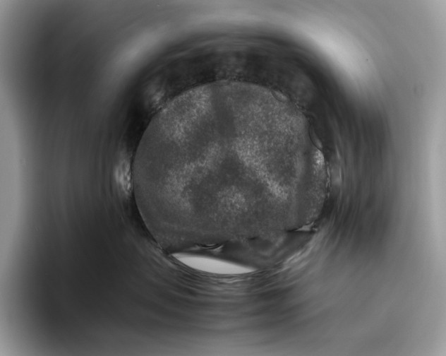 X0000095940479200802011045