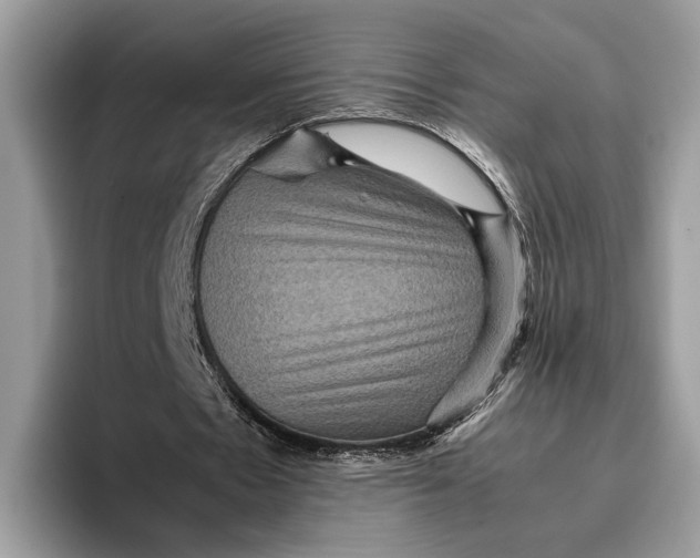 X0000095940481200802011044