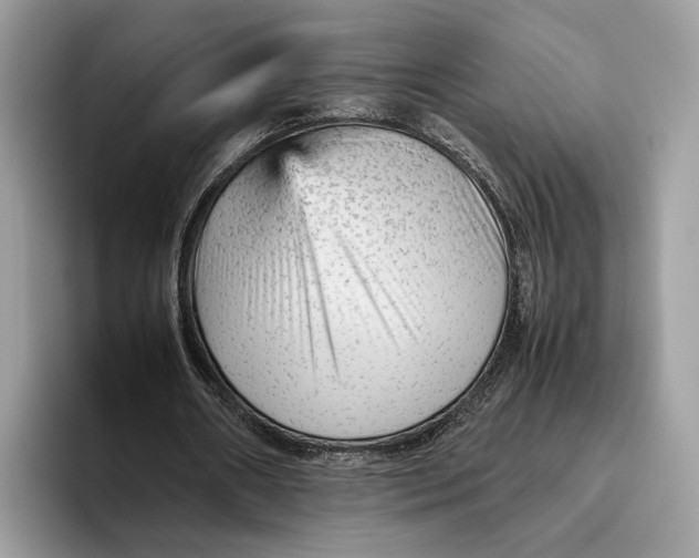 X0000095940482200802011044