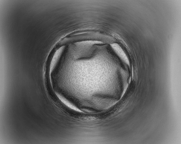 X0000095940483200802011044