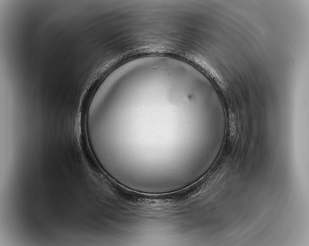 X0000095940486200802011044