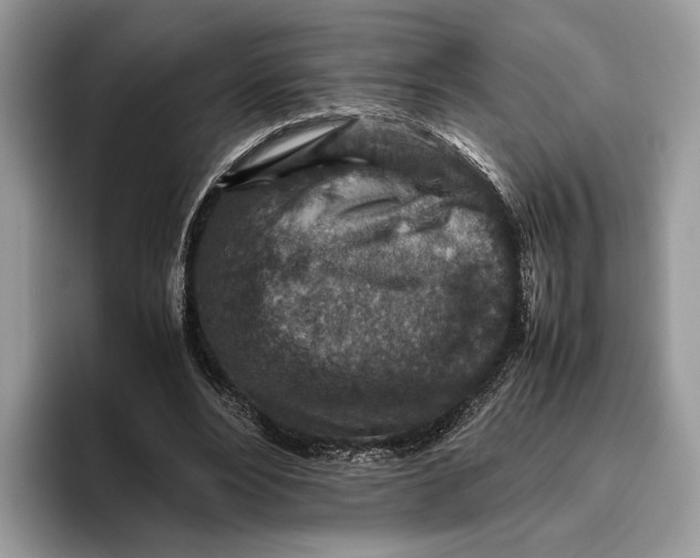 X0000095940488200802011044