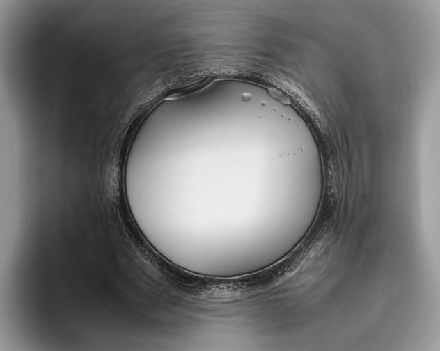 X0000095940489200802011044