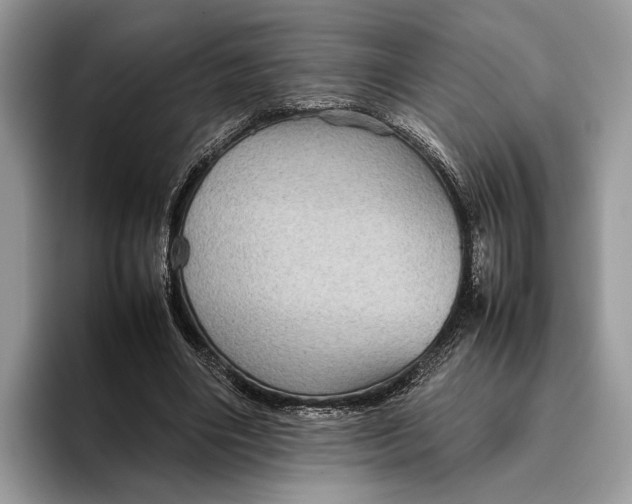 X0000095940490200802011044