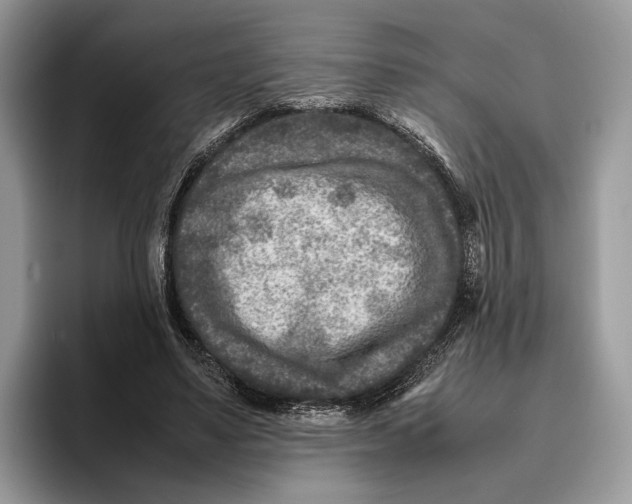 X0000095940491200802011044