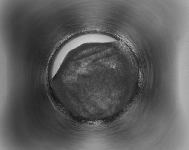 X0000095940492200802011044