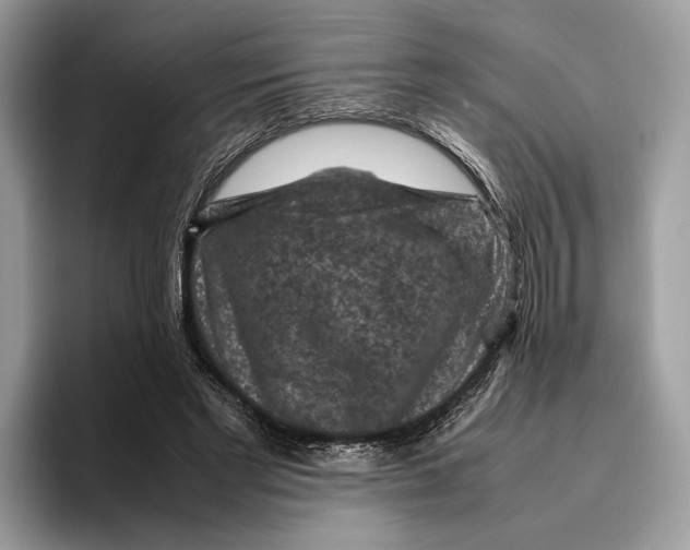 X0000095940493200802011044