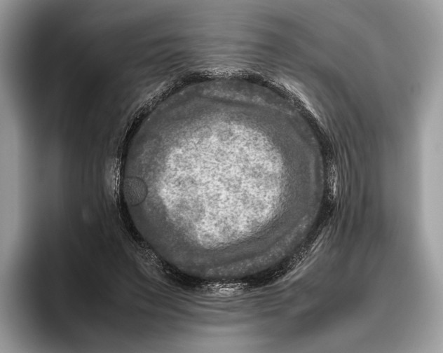 X0000095940495200802011044