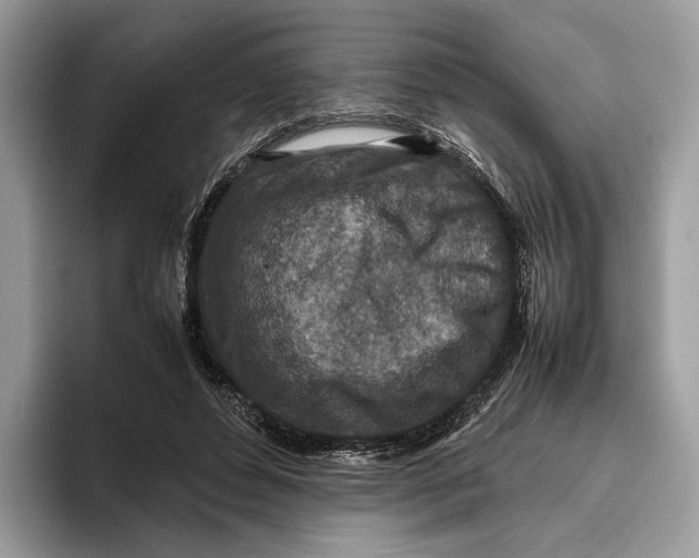 X0000095940496200802011044