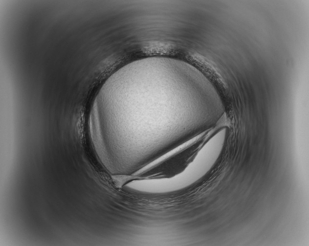 X0000095940498200802011044