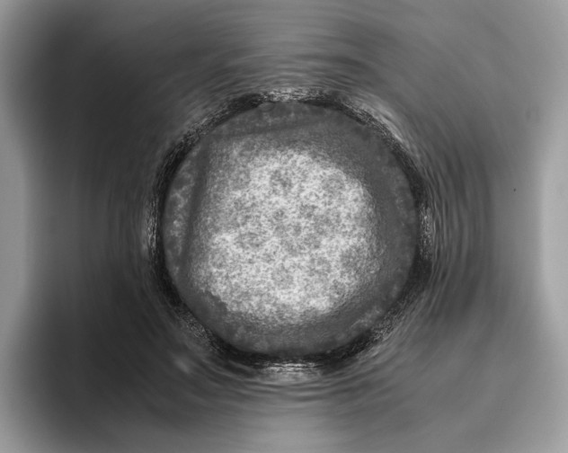 X0000095940499200802011044