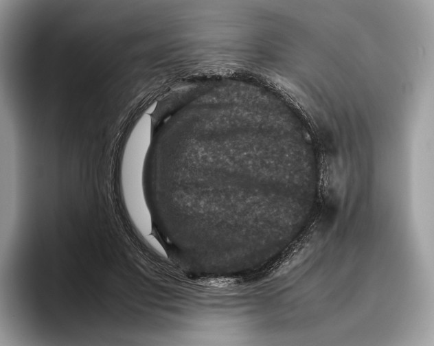 X0000095940501200802011044