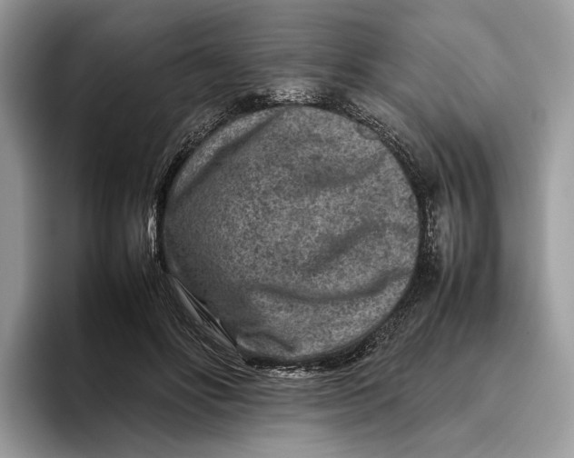 X0000095940502200802011044