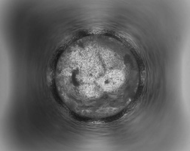 X0000095940503200802011044