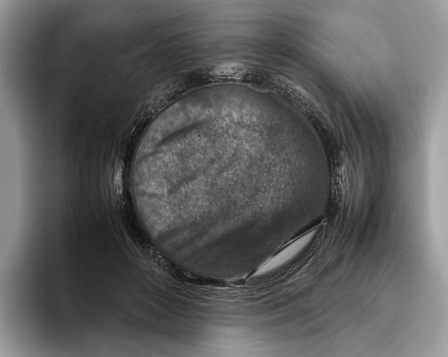 X0000095940504200802011044