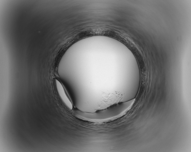 X0000095940505200802011044