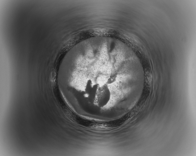 X0000095940507200802011044